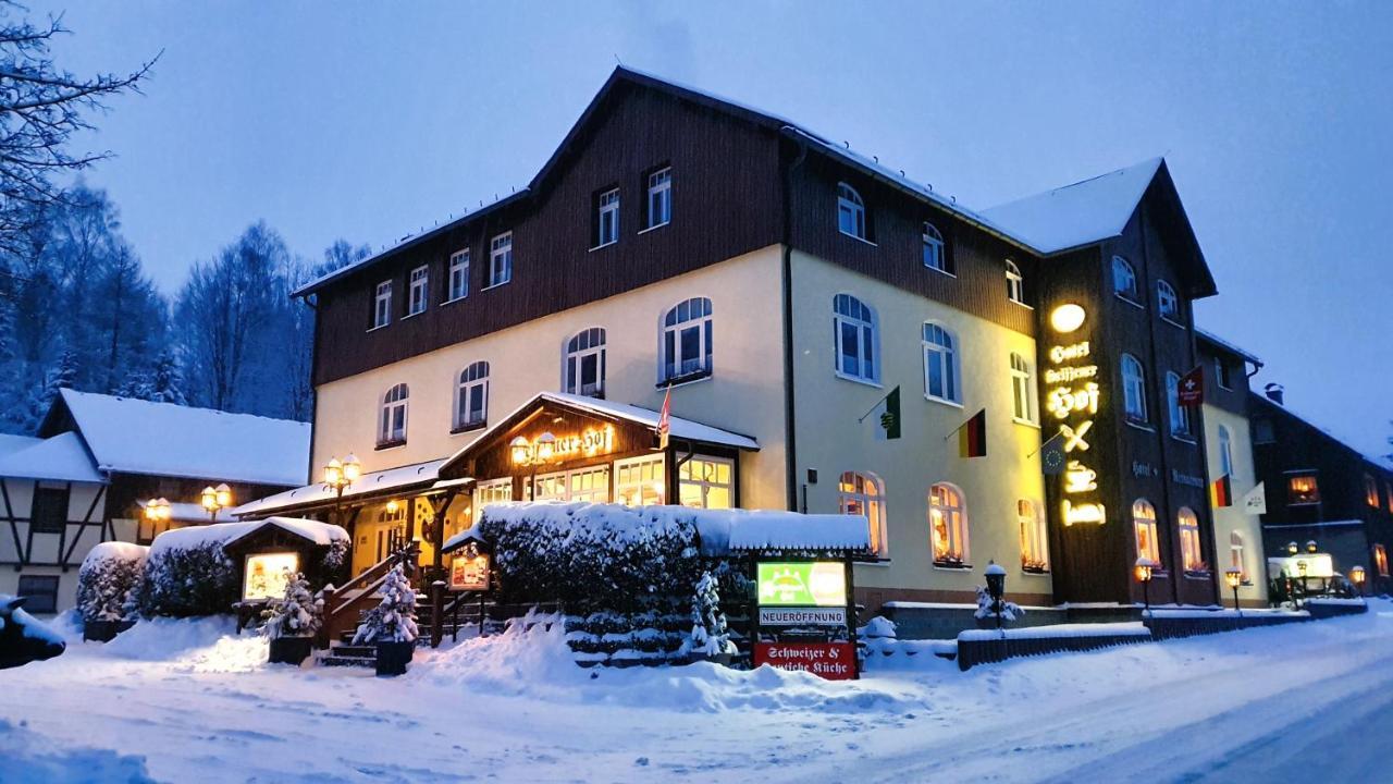 Hotel Seiffener Hof*** エクステリア 写真