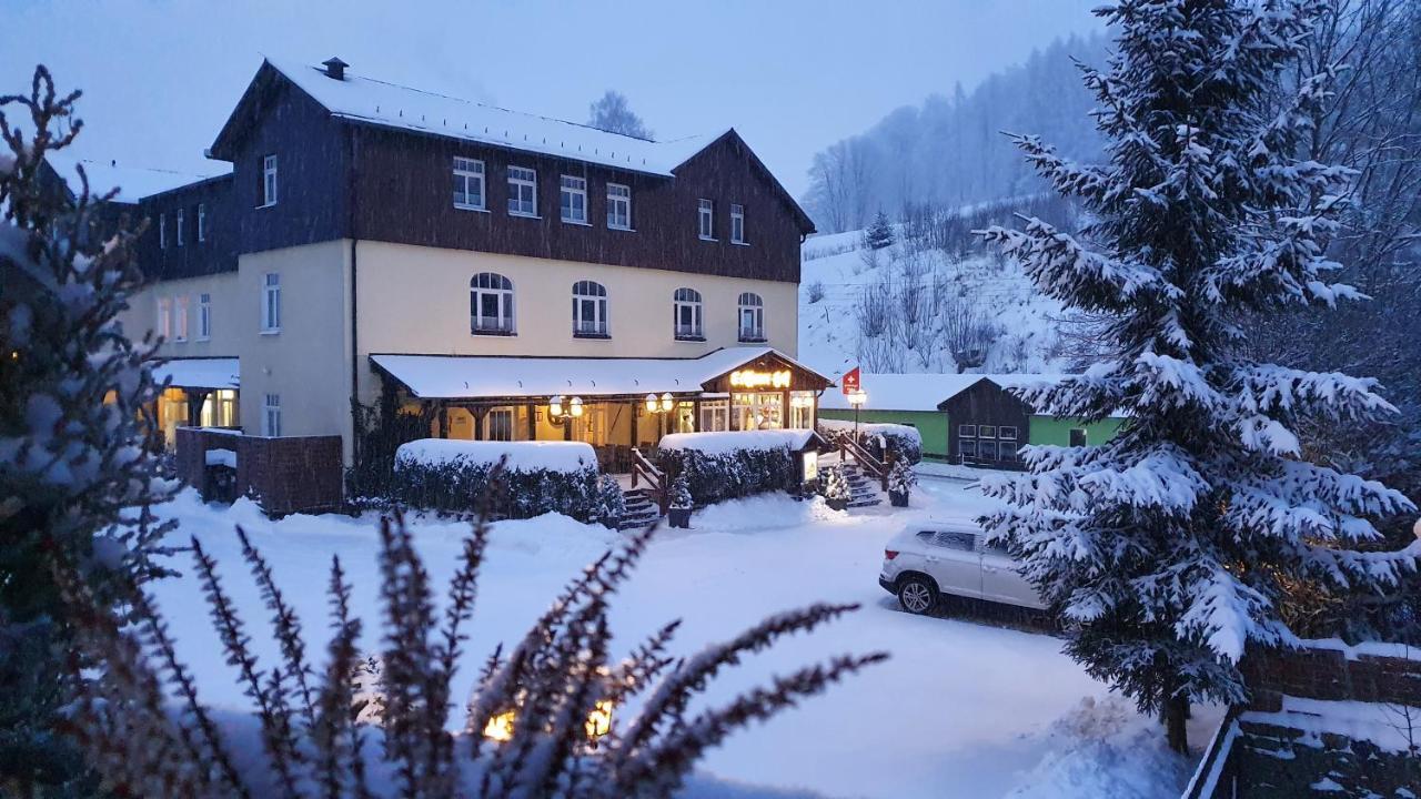 Hotel Seiffener Hof*** エクステリア 写真